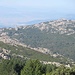 Dalla valle boscosa che si dirige verso Berchidda, emerge il monolite del Monte Longu, che una volta ho cercato di raggiungere senza riuscirci, a causa della vegetazione spinosa che lo circoscriveva: dovrei riprovarci…