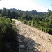 Superata Vallicciola, mi sono diretto verso l’eliporto percorrendo la stradina che scende a Berchidda, seguendo poi le indicazioni del sentiero per Frati Mendula. 