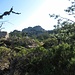 Molto bella e caratteristica la zona dell’Alburu Nieddu (albero nero), dove il sentiero passa per portarsi verso le zone sommitali del Limbara.