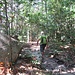 Visto l’avvicinarsi dell’ora di pranzo, ho deciso di seguire questo bel sentiero quasi pianeggiante nel bosco, per riportarmi a Vallicciola, dove si trovano aree attrezzate con tavoli e panchine.