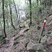 Il sentiero di salita, sempre evidente e ben segnalato (paletti con lettera «A») sale sempre nel bosco; nella parte alta, diminuendo i segnavia, si trovano comunque numerosi ometti, che rendono quasi impossibile sbagliare la via.