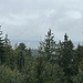 Nord