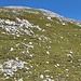 grasige Route zum Gipfel