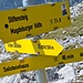 die beiden schmalen Wegweiser mit je 45 min Gehzeit