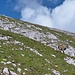 Steinwild und Gipfelkreuz