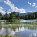 Lac de Champex