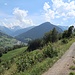 Zum Schluss geht es noch 2 km auf einem Forstweg zur Bushaltestelle Chez-les-Reuses.