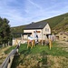 Agriturismo Alpe Rompiago