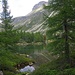 Lago Acque Sparse