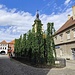 Žatec