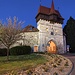 Louny