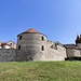 Louny