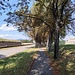 Terezín
