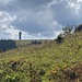 Gegen den Grüeblesattel hinauf mit Blick zum Turm auf dem Seebuck.<br /><br />