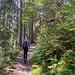 Wir haben mit Forststrassen gerechnet und sind jetzt positiv überrascht.<br /><br />