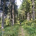 Auf der Umleitung.<br /><br />