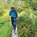Bereits ist der Westweg wieder erreicht.<br /><br />