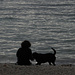 Une inconnue et son chien regardent les reflets du lac