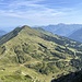 Fellhorn