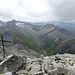 Gipfelkreuz. Hinten Muttgletscher mit dem Gross Muttenhorn