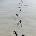 Spiagge quasi sempre deserte