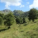 Cascina dei Fop