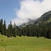 wieder bei der Niederstraußbergalpe, diesmal mit Wolken