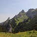 bei der Niederstraußbergalpe