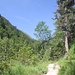 am Schützensteig bergan