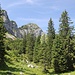 durch die Niederstraußbergalpe