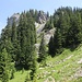 unterwegs auf dem Sattelesteig