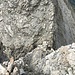 Blick hinunter in die Scharte zwischen Grauspitz und Samiklaus