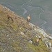 Flüchtende