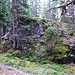 nach wenigen Metern im Wald überrascht uns dieser riesige Felsbrocken