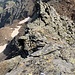 An der Abseilstelle am Crozlina-Ostgrat. Nach den hinteren Gratzacken mit dem blauen Punkt geht es im Gehgelände weiter.