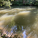 Im Trüben fischen