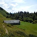 Alp Begligen (1769 m)