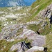 Unterwegs am Grat zum Höch<br />Am Felsblock in der Bildmitte führt der Steig scharf nach links und man steigt recht steil und ausgesetzt über einige Stufen in die Südwestflanke hinunter.<br />Für mich die Schlüsselstelle die ich mit T4- bewerten würde