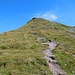 Schlussanstieg zum Gufelstock