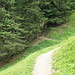 nach Mürren geht es in den Wald