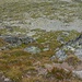 Typisches Gelände am Strahlhorn