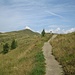 Jetzt habe ich die Hochfläche erreicht. Der Berg hinten ist der Golzentipp, mein nächstes Zwischenziel.
