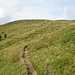 Auf dem Weiterweg zum Spitzenstein überquere ich noch diesen namenlosen Wiesenberg südwestlich des Golzentipps.