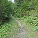 Einstieg Pfad/Steig Fürstenweg Nr. 241