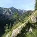 Es wird immer steiler<br />Pfad/Steig Fürstenweg Nr. 241