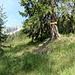 Einstieg zum Jägersteig/Pfad in Richtung Kreuzkargraben