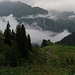 Début d'étape sous les nuages