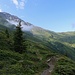 En regardant vers le col de Mille