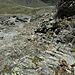 Irgendwie in der S-Flanke an Höhe verlieren, um wieder auf das breite Schuttband zu kommen.