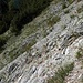 Querung vom Graben/Schrofenrinne oberhalb des eigentlichen Weges<br />Hinten links im Bild die Latschengasse die ins nichts führt